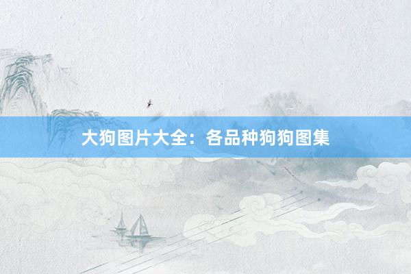 大狗图片大全:各品种狗狗图集