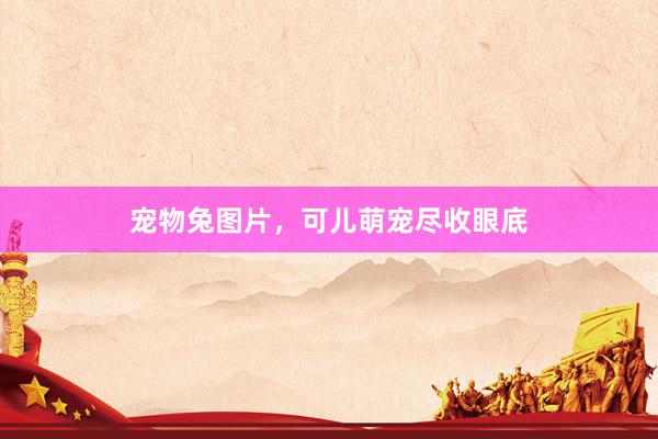 宠物兔图片，可儿萌宠尽收眼底