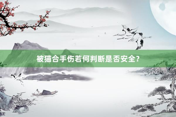 被猫合手伤若何判断是否安全?