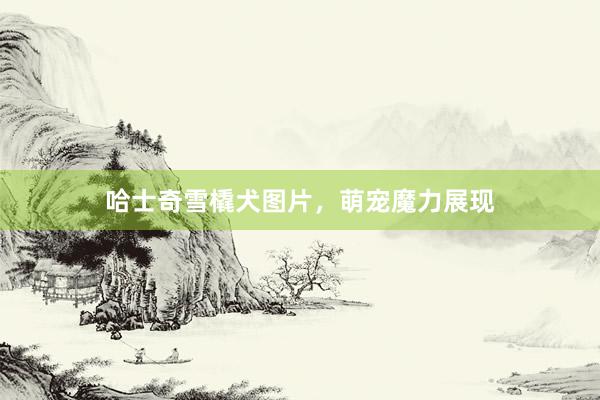 哈士奇雪橇犬图片，萌宠魔力展现